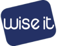Wise IT logo